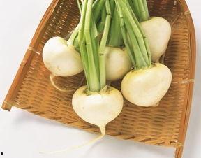 萝卜报告吃瓜视频,吃瓜视频背后的真相与趣味