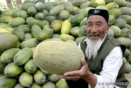 涛哥新疆吃哈密瓜视频,涛哥带你领略甜蜜诱惑