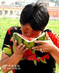 两个吃瓜老太太视频大全,两位老太太的吃瓜视频大盘点