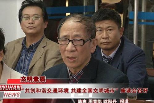 朝阳人民吃瓜群众事件视频,一场网络视频引发的全民热议