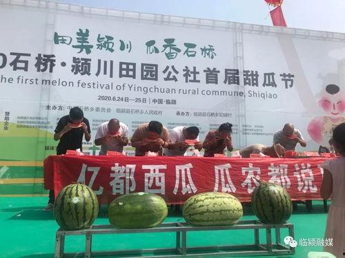 怎么举行吃瓜比赛视频,趣味十足！揭秘吃瓜比赛的热闹现场
