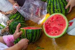 西安吃瓜的视频,一网打尽地道美食与趣味瞬间