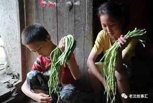 河北姐弟吃瓜视频,揭秘家庭日常趣味瞬间