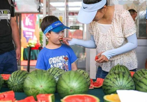 甜福瓜怎么吃才好吃视频
