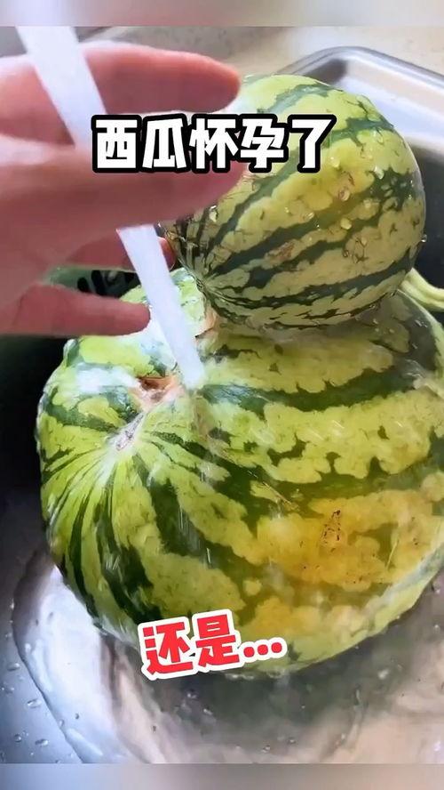 搞笑幼儿吃瓜视频大全,萌娃搞笑吃瓜瞬间大盘点