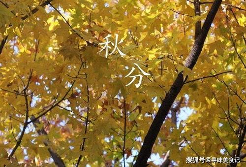 秋风吃瓜视频
